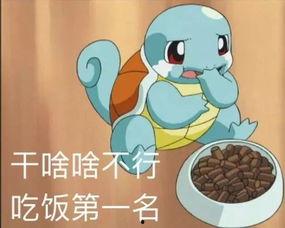 杰尼龟爆料视频,揭秘背后故事与幕后真相